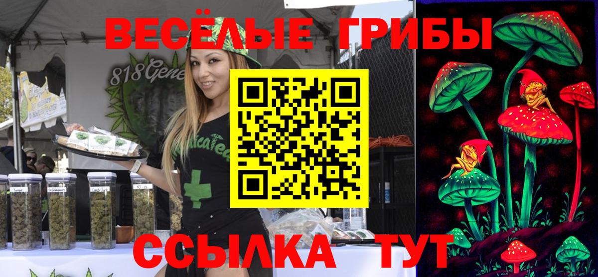 Галлюциногенные грибы мухоморы Иваново