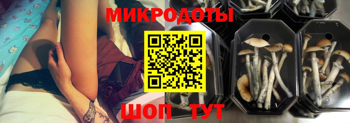 Псилоцибиновые грибы MAGIC MUSHROOMS  Галлюциногенные грибы MAGIC MUSHROOMS  Вход с VPN  Иваново 
